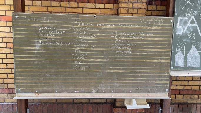 Bestandsaufnahme der Pflanzen