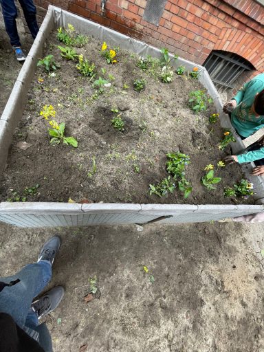 Die ersten Blumen